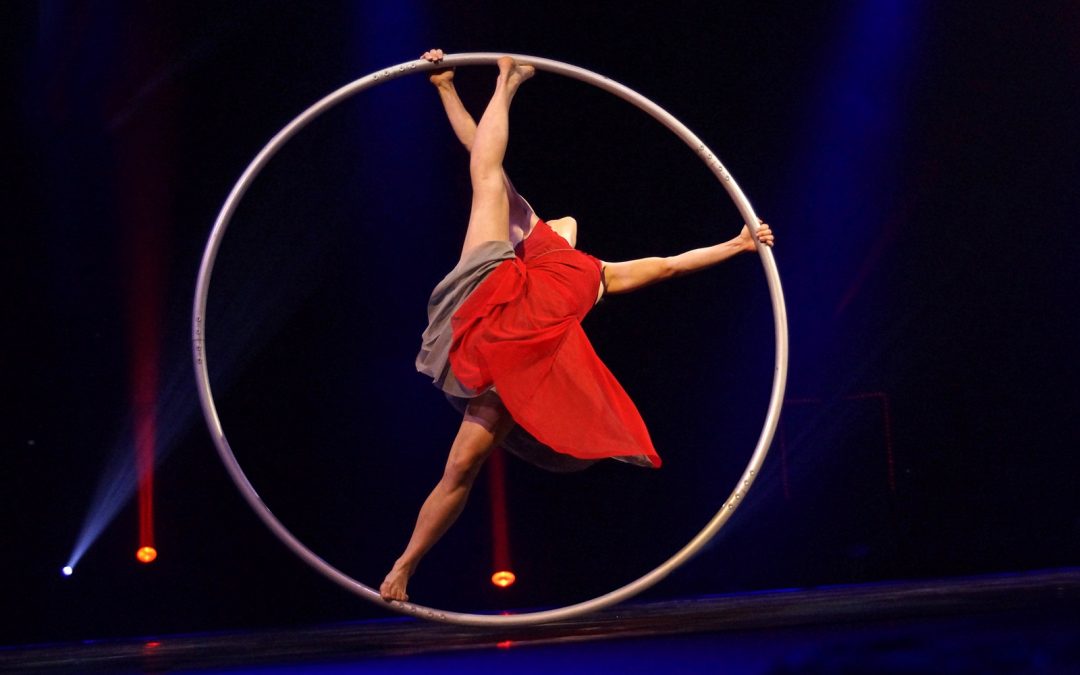 New Performances from Telmondis!