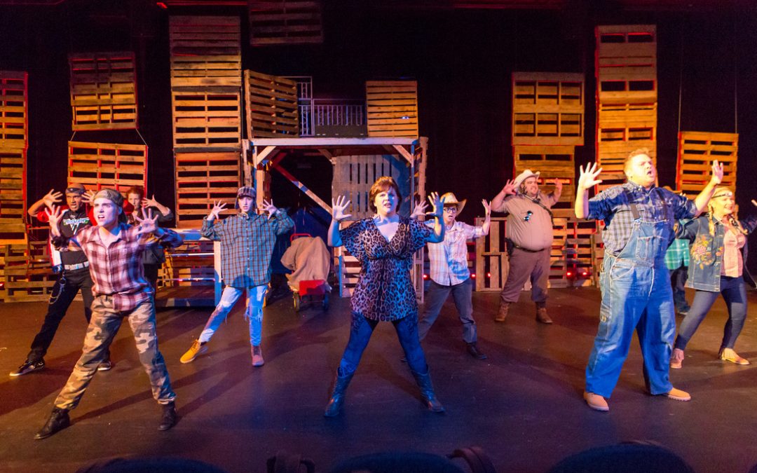 5 Cult Musicals You Should Know